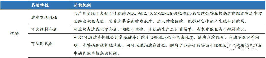 Another Domain of Drug Conjugation: PDC