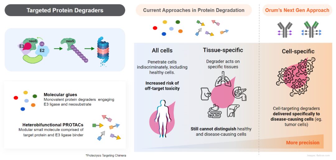 Technical Insights into 15 ADC Drugs and Future Innovations