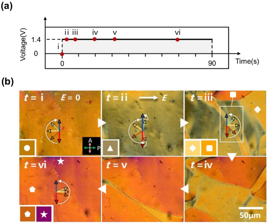 Research Progress on Ferroelectric Nematic Liquid Crystals
