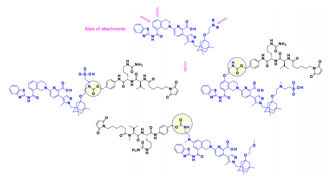 Overview of Antibody-Drug Conjugates (ADCs)