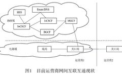 Key Technologies for Operator IMS Interconnection Networking