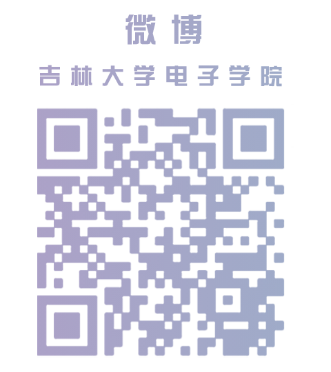 Wide Bandgap Semiconductor Chips