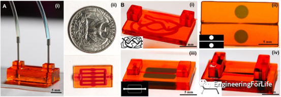 Applications of Projection Photopolymerization in 3D Bioprinting: Microneedles, Microspheres, and Microfluidic Chips