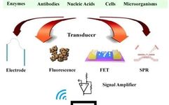 Artificial Intelligence Biosensors: Challenges and Prospects