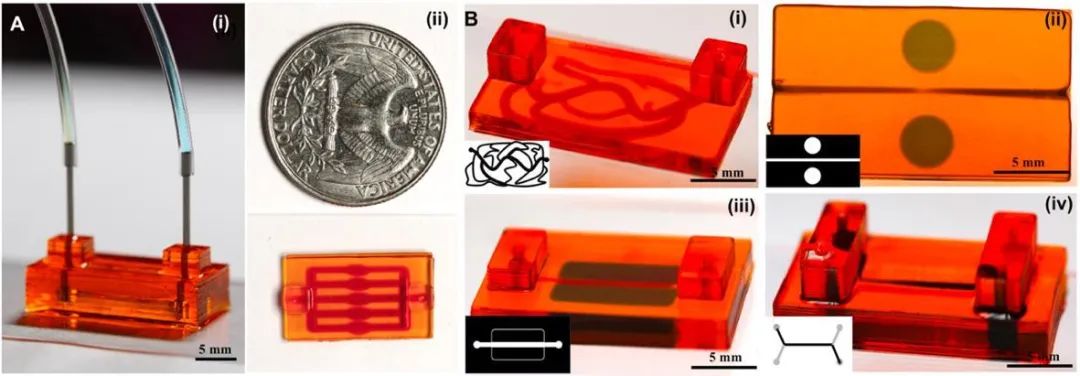 Bioprinting of Vascularized Tissues: A Comprehensive Review