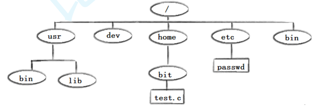Comprehensive Guide to Linux Commands: Become a Command Line Expert