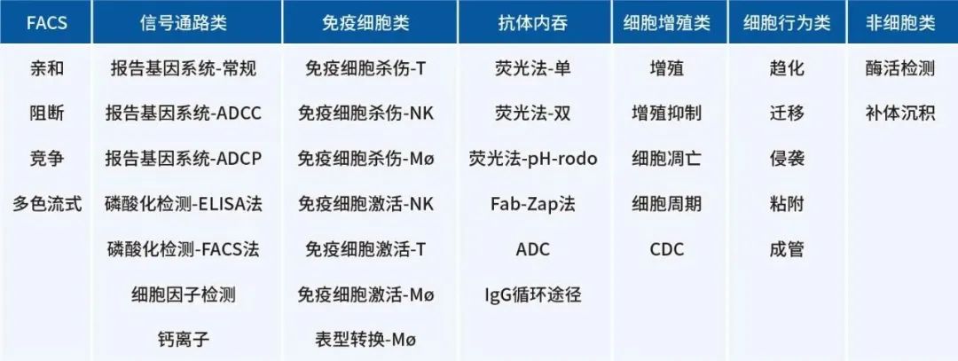 Innovative Delivery: Comprehensive Analysis of 'Magic Bullet' ADC Drug Screening