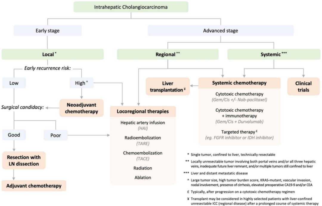 Comprehensive Review of Current Advances in Intrahepatic Cholangiocarcinoma Treatment