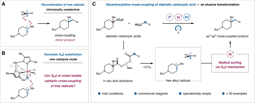 Nickel-Catalyzed Double Decarboxylative Cross-Coupling of Aliphatic Carboxylic Acids