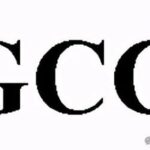 Understanding GCC Certification in the USA