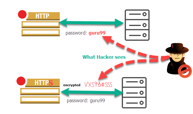 Understanding the Fundamental Differences Between HTTP and HTTPS