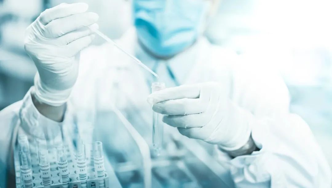 Cystatin C: An Important Indicator of Kidney Function