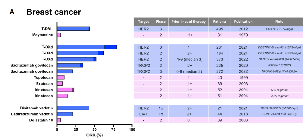 Understanding ADC Treatment Windows