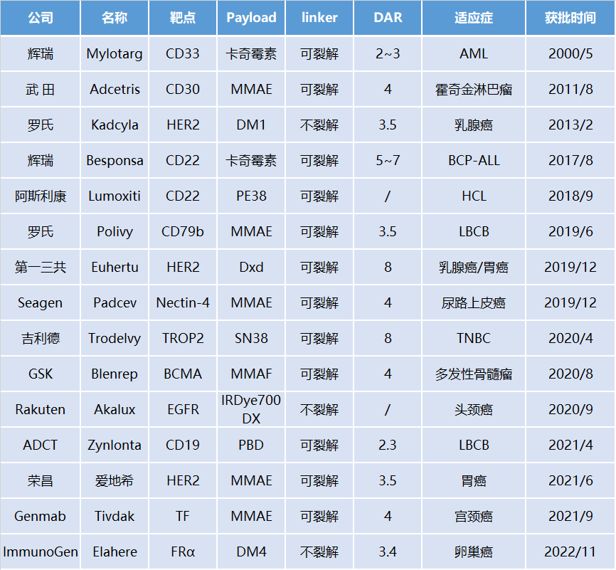 Technical Insights into 15 ADC Drugs and Future Innovations