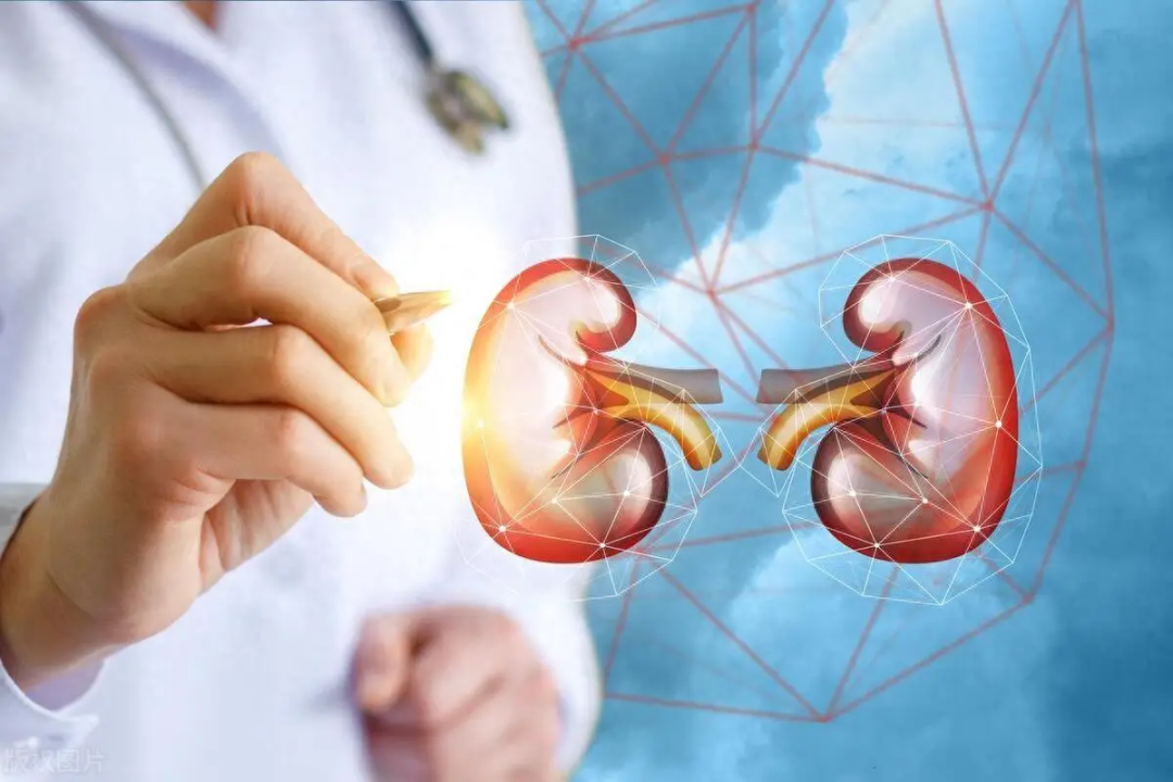 Cystatin C: An Important Indicator of Kidney Function