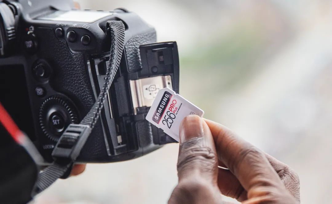 Quickly Recover Data from Damaged or Formatted SD Cards