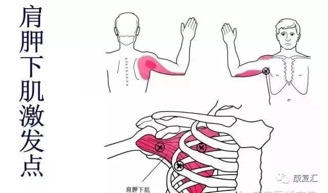 Detailed Guide to Shoulder Joint Physical Examination for Rehabilitation