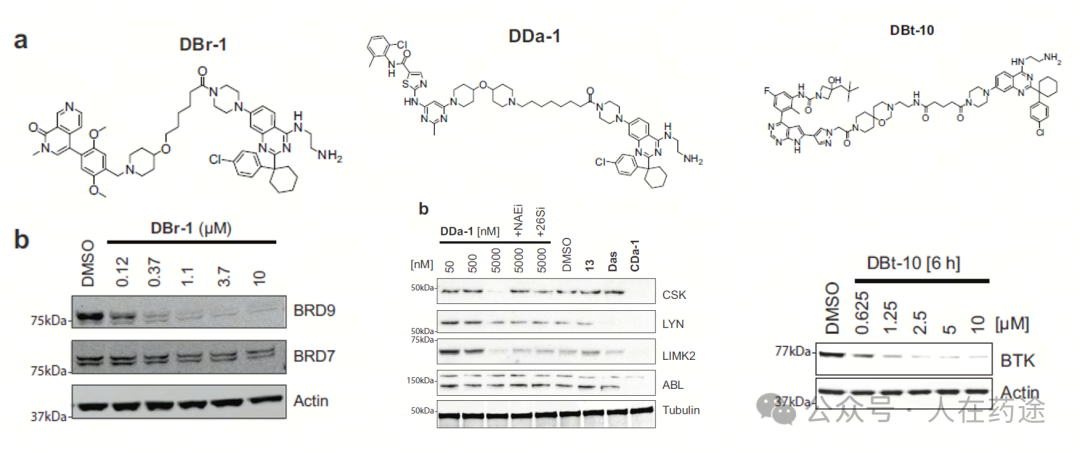 The Future of PROTACs and Molecular Glue: E3 Ligand Development Overview