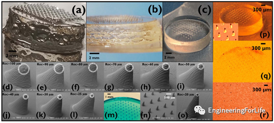Applications of Projection Photopolymerization in 3D Bioprinting: Microneedles, Microspheres, and Microfluidic Chips