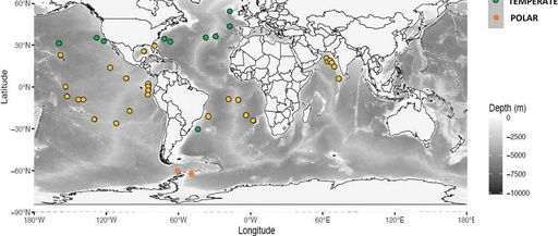 The Three Musketeers of Marine Ecology Research: MultiNet, ZooSCAN, and UVP