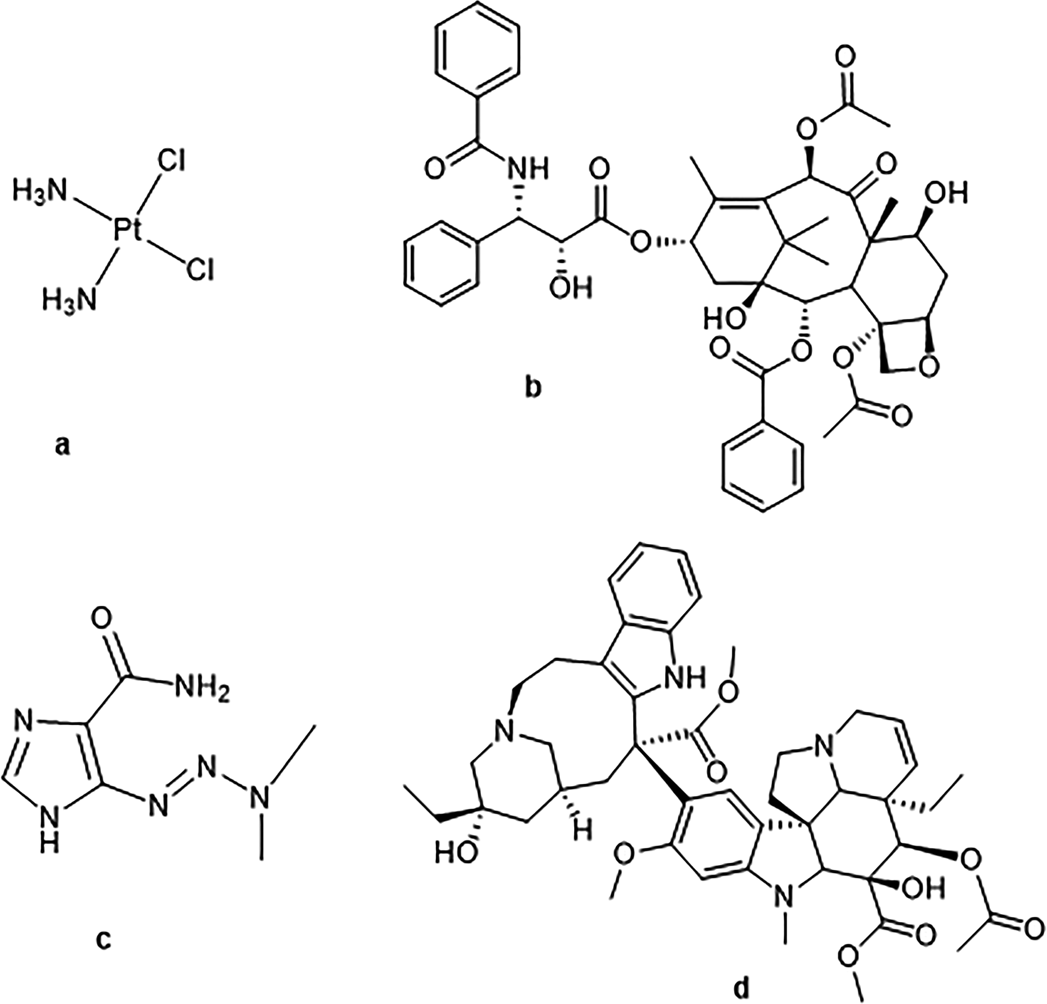 Exploring the Stories Behind ADC Payloads: Traditional Chemotherapeutics