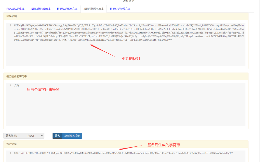 Step-by-Step Analysis of RSA Public Key, Private Key, and Digital Signature Encryption Process