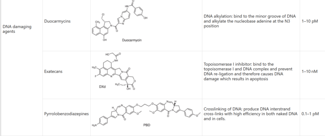 Choosing ADC Toxins: IC50, Mechanisms, and Clinical Insights