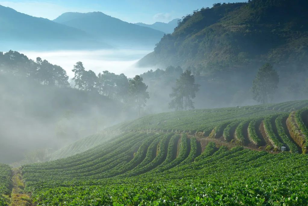 Introduction to Domestic and International Voluntary Emission Reduction Types: CDM, GS, VCS, ACR, CCER