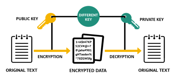 Digital Signature Algorithm (DSA) in Cryptography: How It Works and Its Advantages