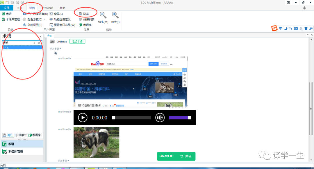Creating a Multimedia Multilingual Terminology Database: Based on SDL MultiTerm Desktop 2019