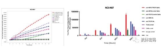 The Next Step for Bispecific Antibodies: Bispecific ADC?
