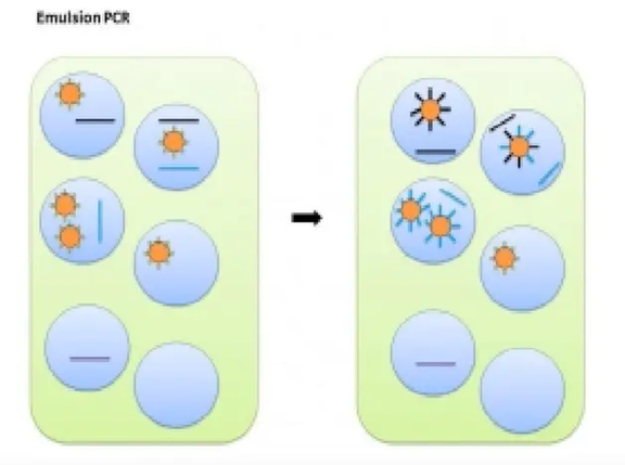 Molecular Diagnosis Technology Comprehensive Analysis Trilogy