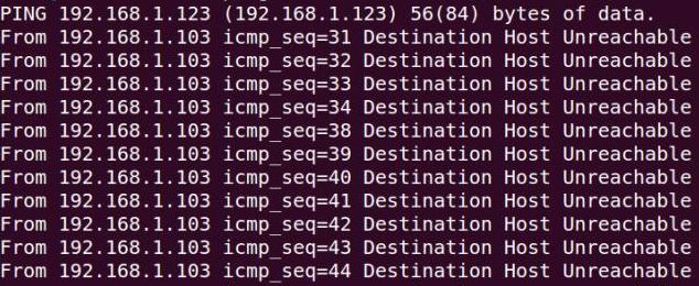 Nine Commonly Used Network Commands