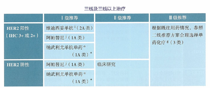 Professor Ying Jie'Er: Treatment of Elderly Patients with Advanced Gastric Cancer