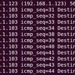 Nine Commonly Used Network Commands