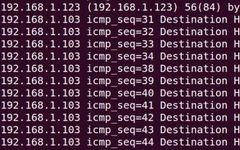 Nine Commonly Used Network Commands