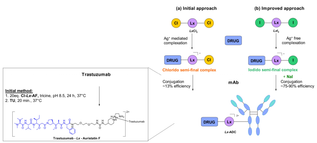 ADC Bioconjugation Technology