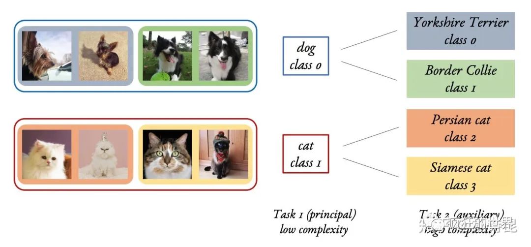 Multi-task Learning and Beyond: Past, Present, and Future