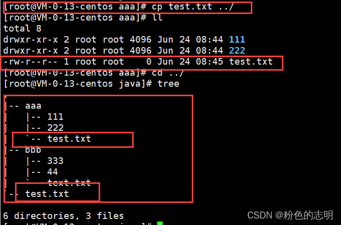 Common Linux Commands Explained