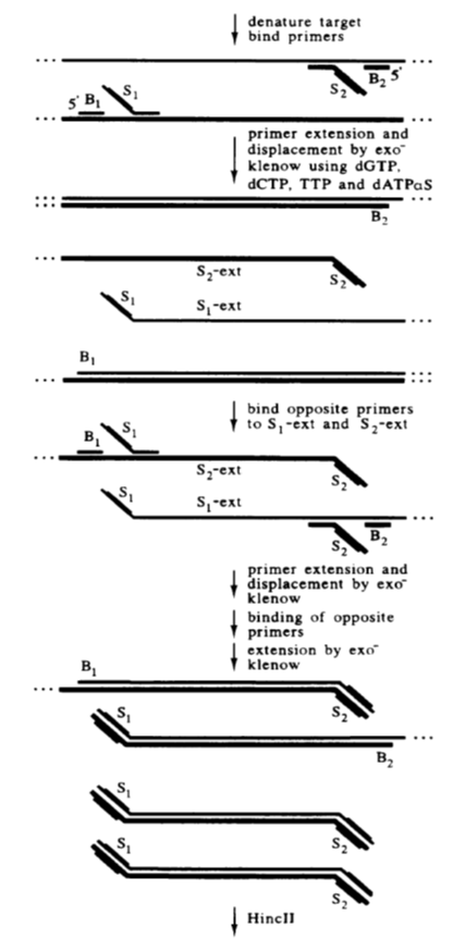 Molecular Diagnosis Technology Comprehensive Analysis Trilogy
