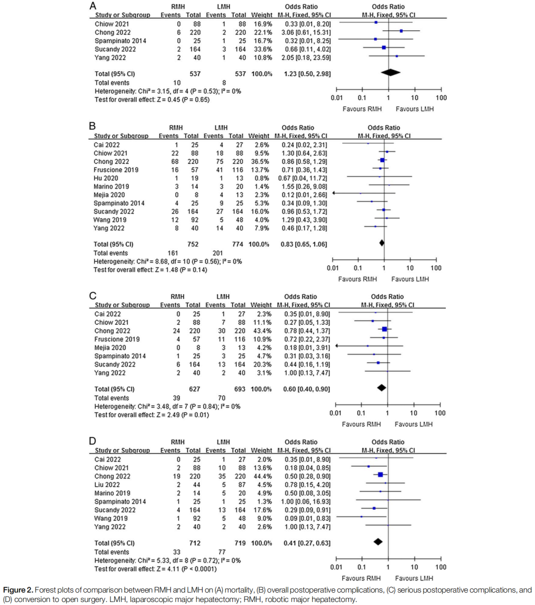 Understanding Robotic Surgery: An Overview