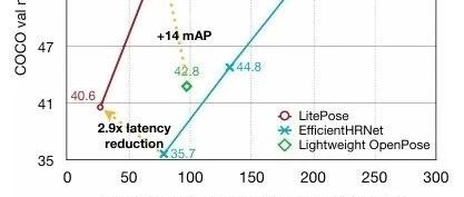 Efficient Pose Estimation Inference with LitePose