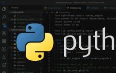 2025 Beginner's Guide to Learning Python (Detailed Version)