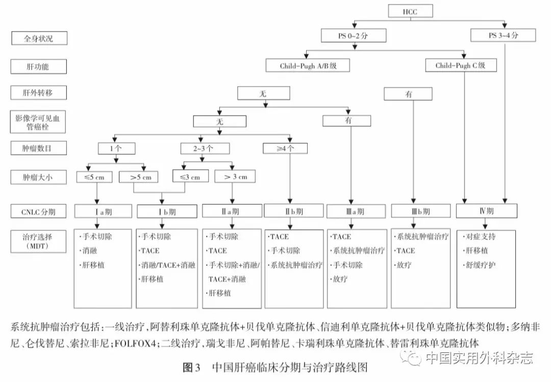 Guidelines And Consensus | Diagnosis And Treatment Guidelines For Primary Liver Cancer (2022 Edition)