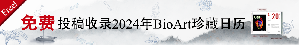 Predicting Chromatin Accessibility in Drosophila Using CNN and Multi-Head Attention