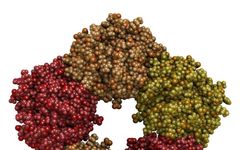 Detailed Interpretation of Common Infection Markers: CRP, PCT, and More