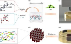 3D Bioprinting of Complex Biological Structures with Tunable Properties