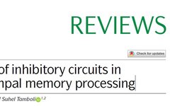 The Role of Inhibitory Circuits in Hippocampal Memory Processing