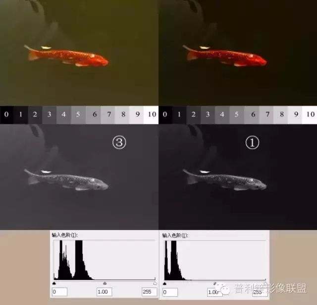 Understanding Adams Zone Exposure Method