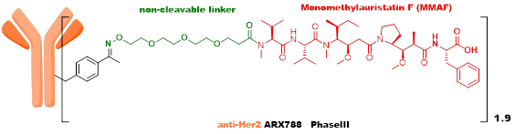 Technical Insights into 15 ADC Drugs and Future Innovations